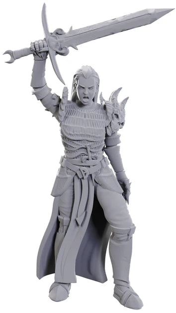 Nolzur's Marvelous Miniatures - Unpainted: Blackguard