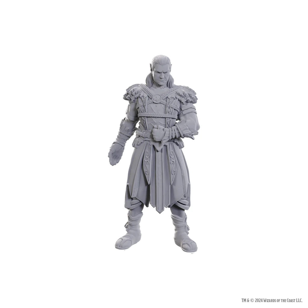 D&D Nolzur's Marvelous Miniatures: Special Edition Baldur's Gate 3 — Jaheira & Halsin