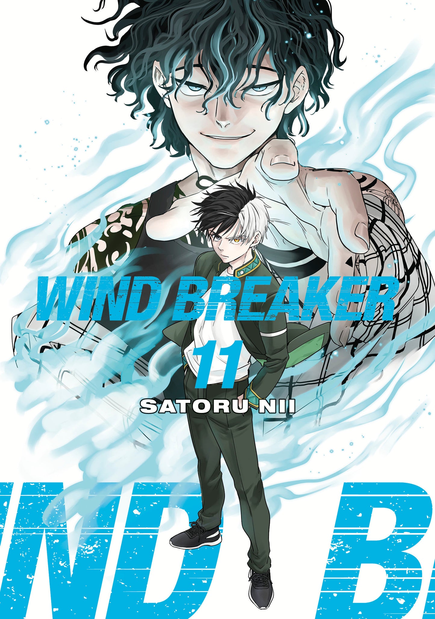 Wind Breaker 11