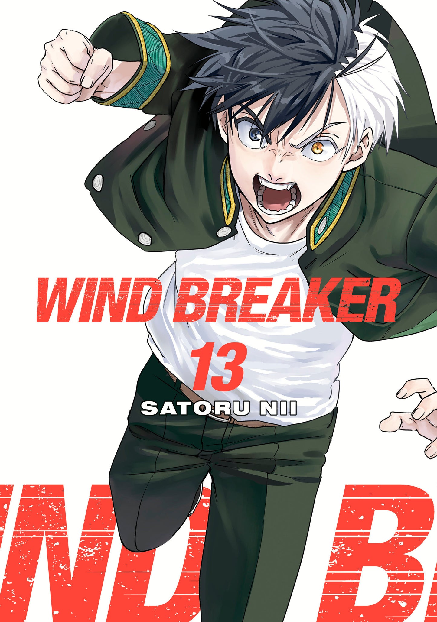 Wind Breaker Volume 13