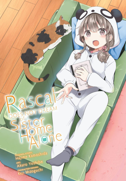 Rascal Does Not Dream Of A Sister Home Alone Graphic Novel