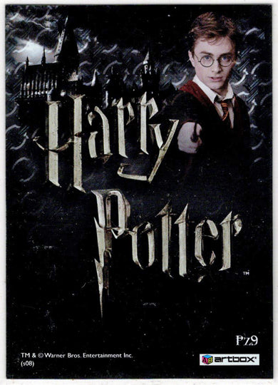 Harry Potter And The Prisoner of Azkaban Update 3D Lenticular Puzzle Card PZ9