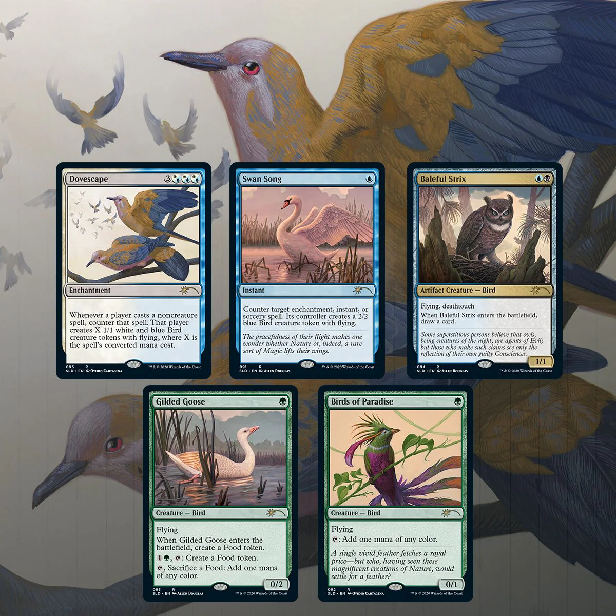 Secret Lair: Drop Series - Ornithological Studies