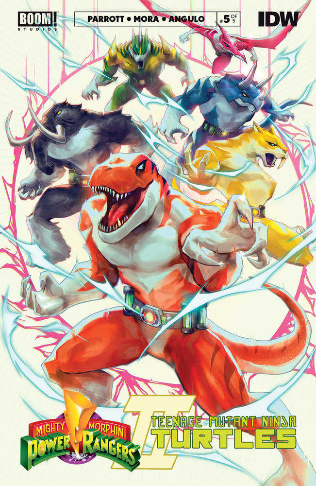 Mmpr Teenage Mutant Ninja Turtles II #5 (Of 5) Cover C Mmpr Variant Tao