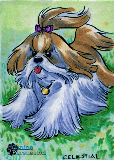 Canine Persuasion Sketch Card by Mel Celestial