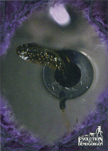 Stranger Things Upside Down Evolution Purple Parallel Chase Card EV-1 17/25