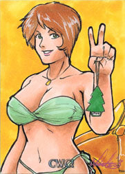 Car Wash Craziness Danielle Ellison Sketch Card