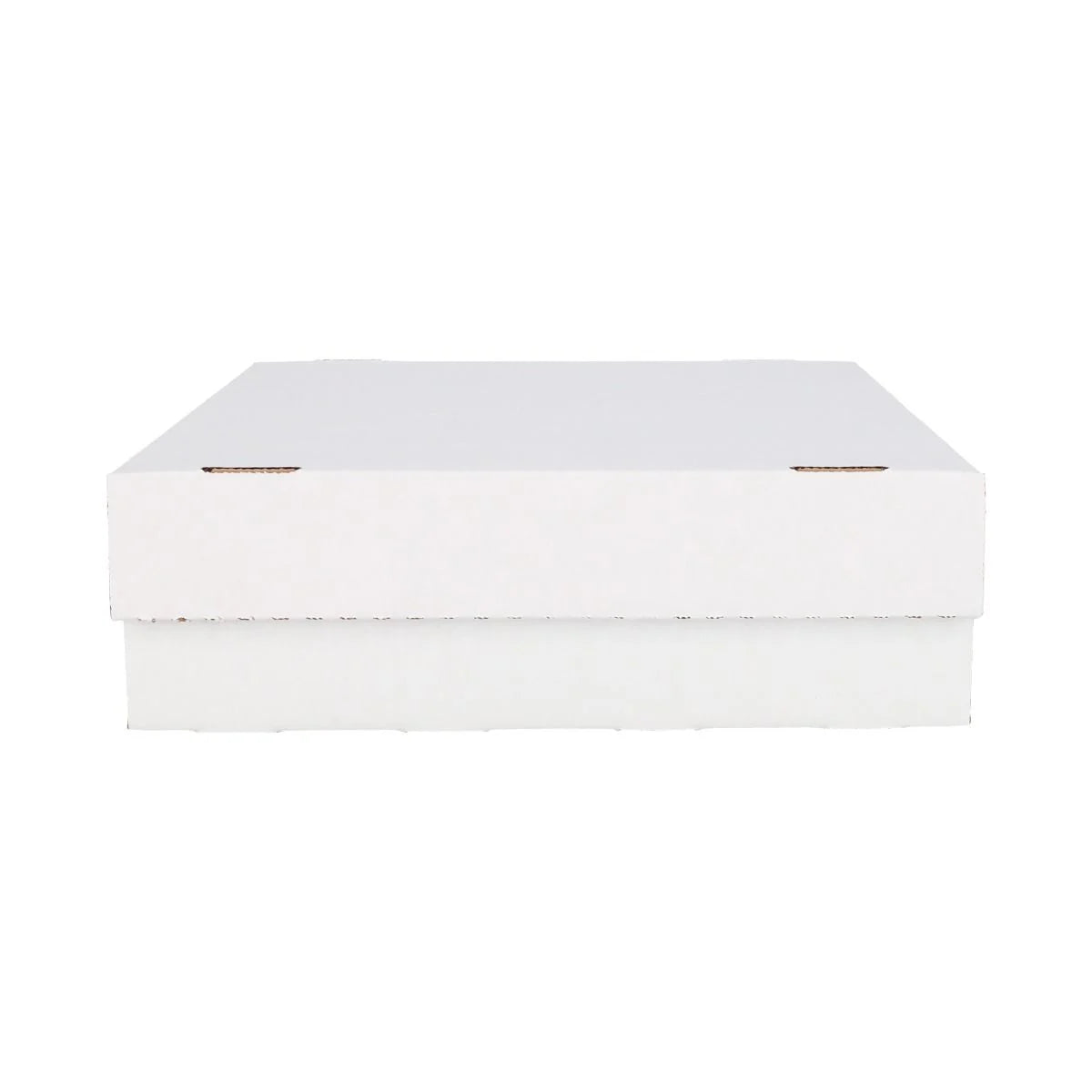 BCW Monster Storage Box (3,200 CT.)