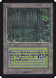 Magic: The Gathering MTG Bayou [Alpha Edition] Graded CGC 8.5 NM/Mint+