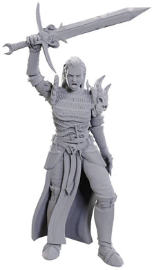 Nolzur's Marvelous Miniatures -  Unpainted: Blackguard
