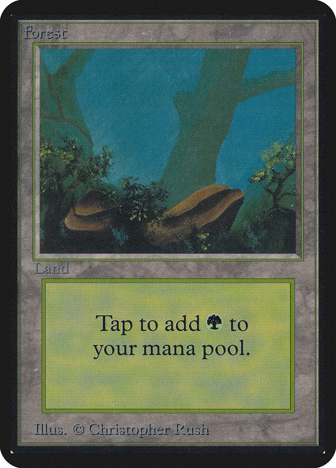 MTG 森 α PSA8 Forest - ALPHA MtG Magic Gathering GRADED - NM-MT PSA 8 | eBay