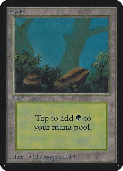 Magic: The Gathering MTG Forest (294) [Alpha Edition] Graded CGC 8.5 NM/Mint+