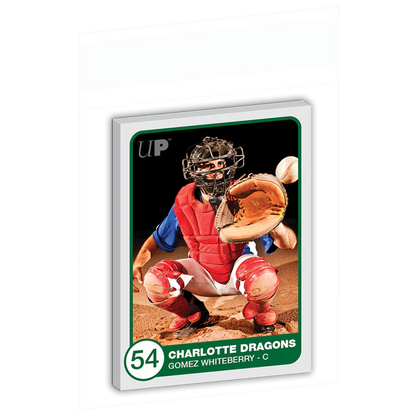 Ultra PRO Team Bags - 100 Count Pack