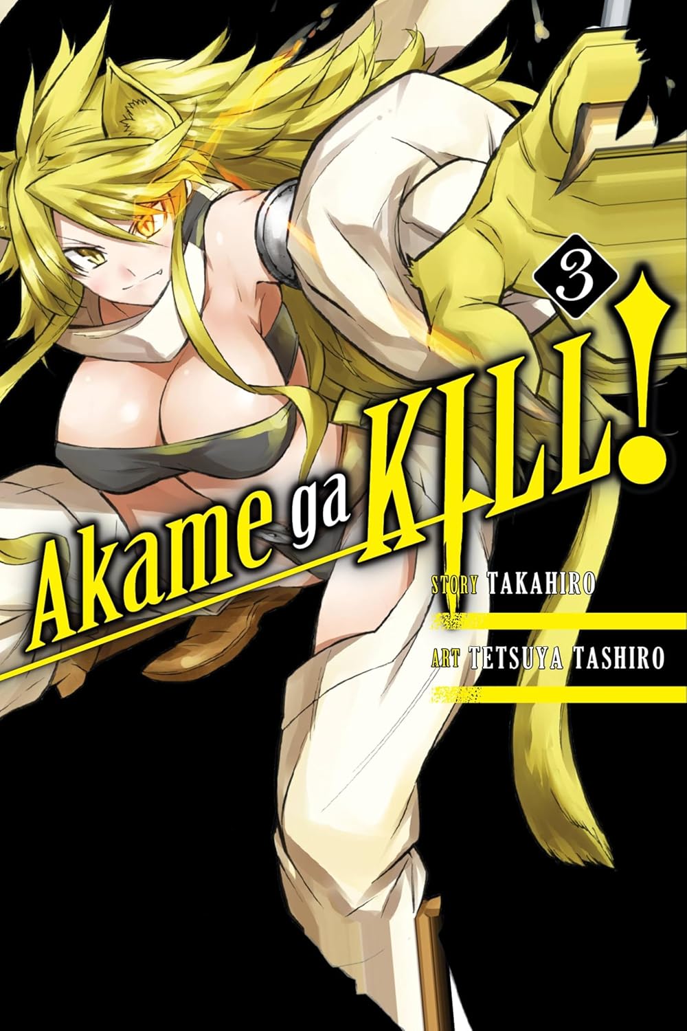 Akame Ga Kill Graphic Novel Volume 03