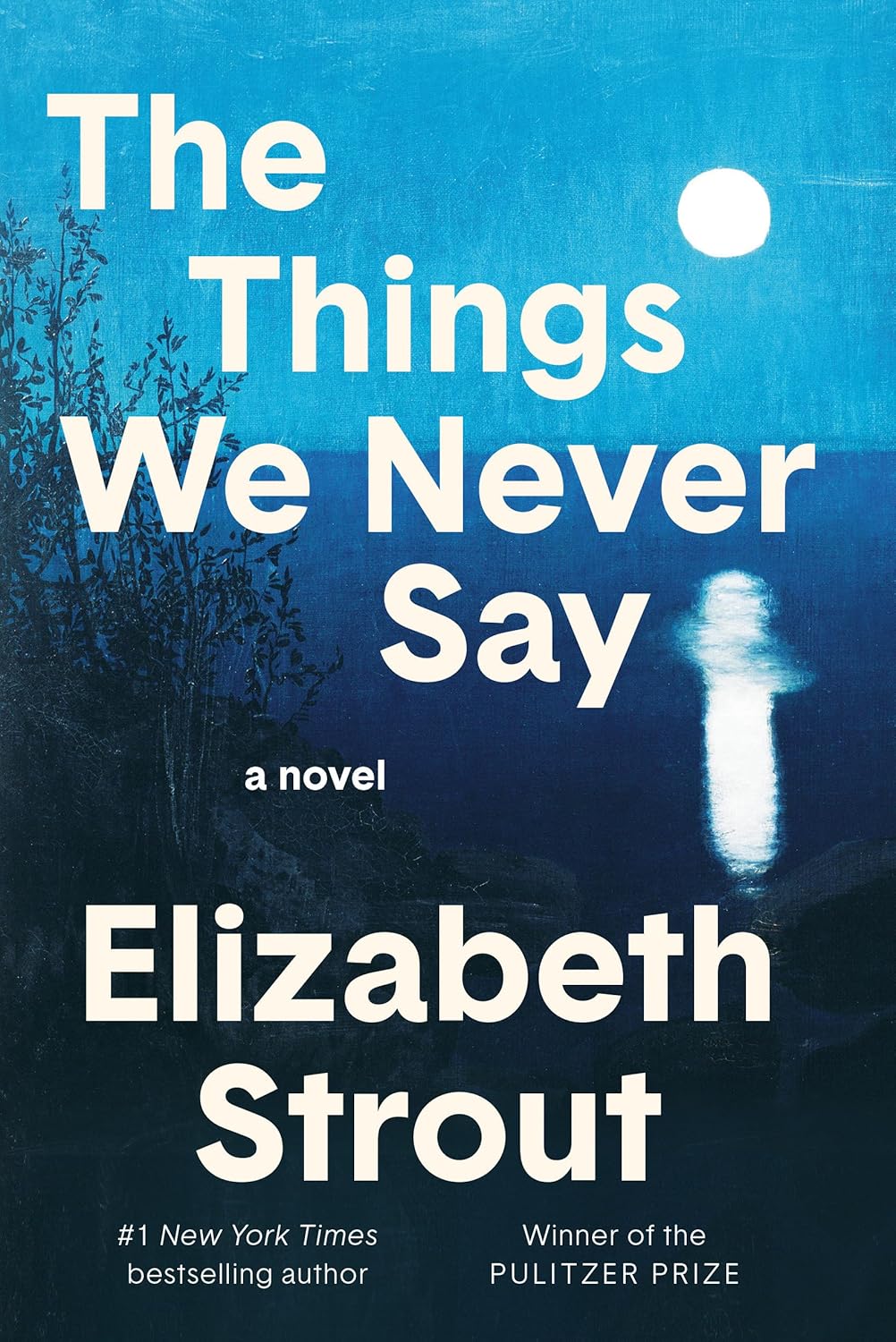 The Things We Never Say: A Novel Hardcover