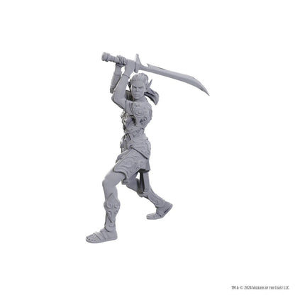 D&D Nolzur's Marvelous Miniatures: Special Edition Baldur's Gate 3 — Lae'zel & Shadowheart