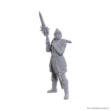 D&D Nolzur's Marvelous Miniatures: Special Edition Baldur's Gate 3 — Lae'zel & Shadowheart