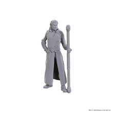 D&D Nolzur's Marvelous Miniatures: Special Edition Baldur's Gate 3 — Gale & Astarion
