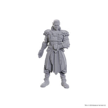 D&D Nolzur's Marvelous Miniatures: Special Edition Baldur's Gate 3 — Jaheira & Halsin