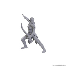 D&D Nolzur's Marvelous Miniatures: Special Edition Baldur's Gate 3 — Jaheira & Halsin