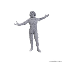 D&D Nolzur's Marvelous Miniatures: Special Edition Baldur's Gate 3 — Volo & Withers