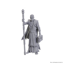 D&D Nolzur's Marvelous Miniatures: Special Edition Baldur's Gate 3 — Volo & Withers