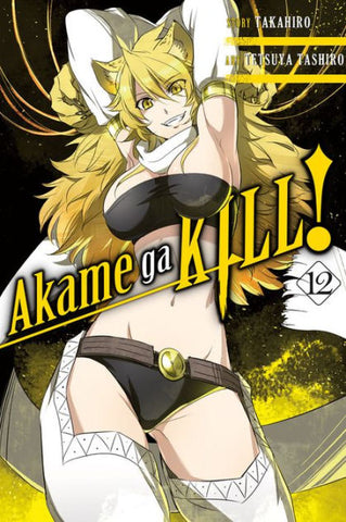 Akame Ga Kill Graphic Novel Volume 12