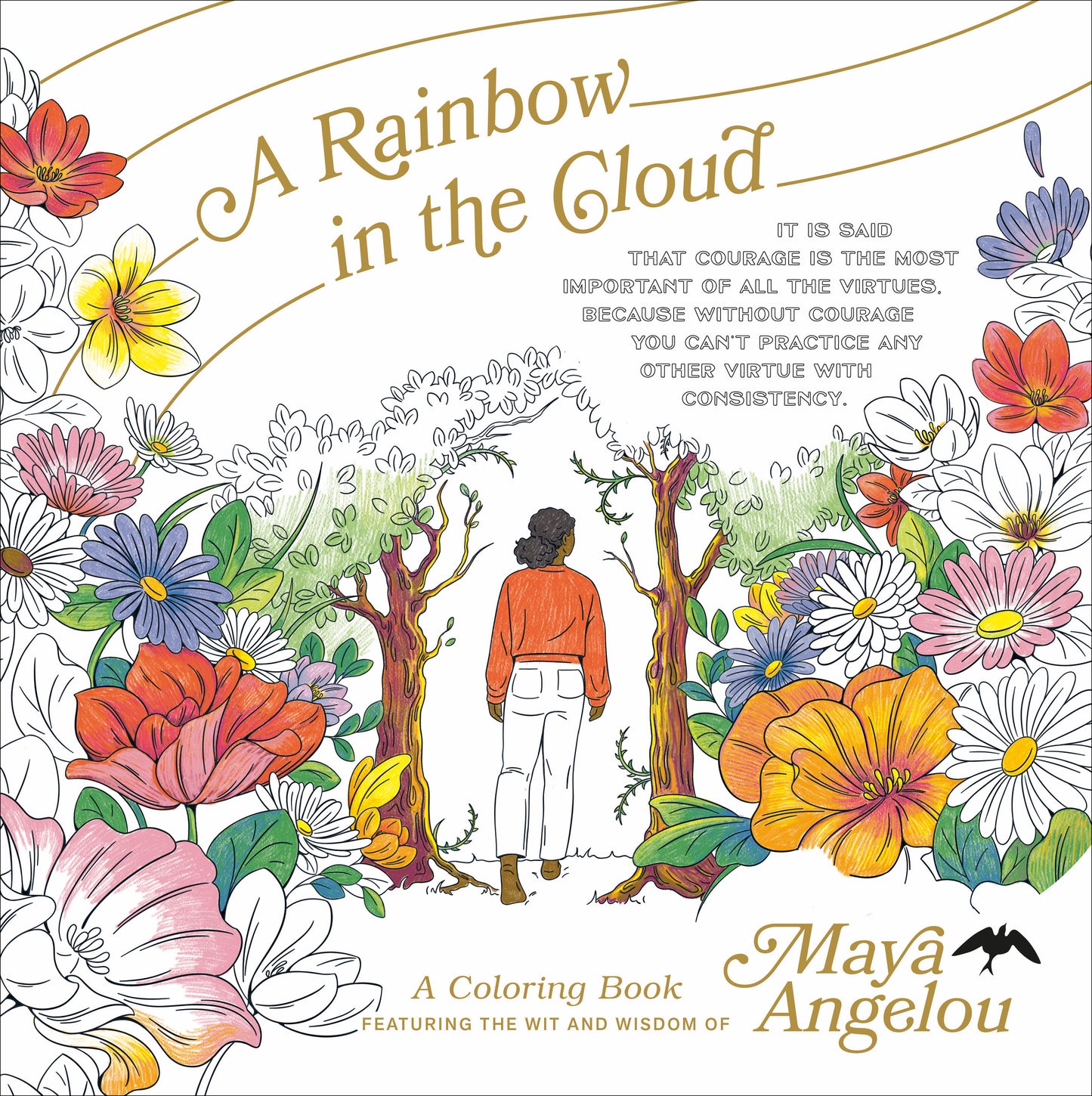 A Rainbow In The Cloud