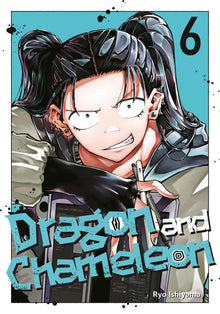 Dragon And Chameleon 06