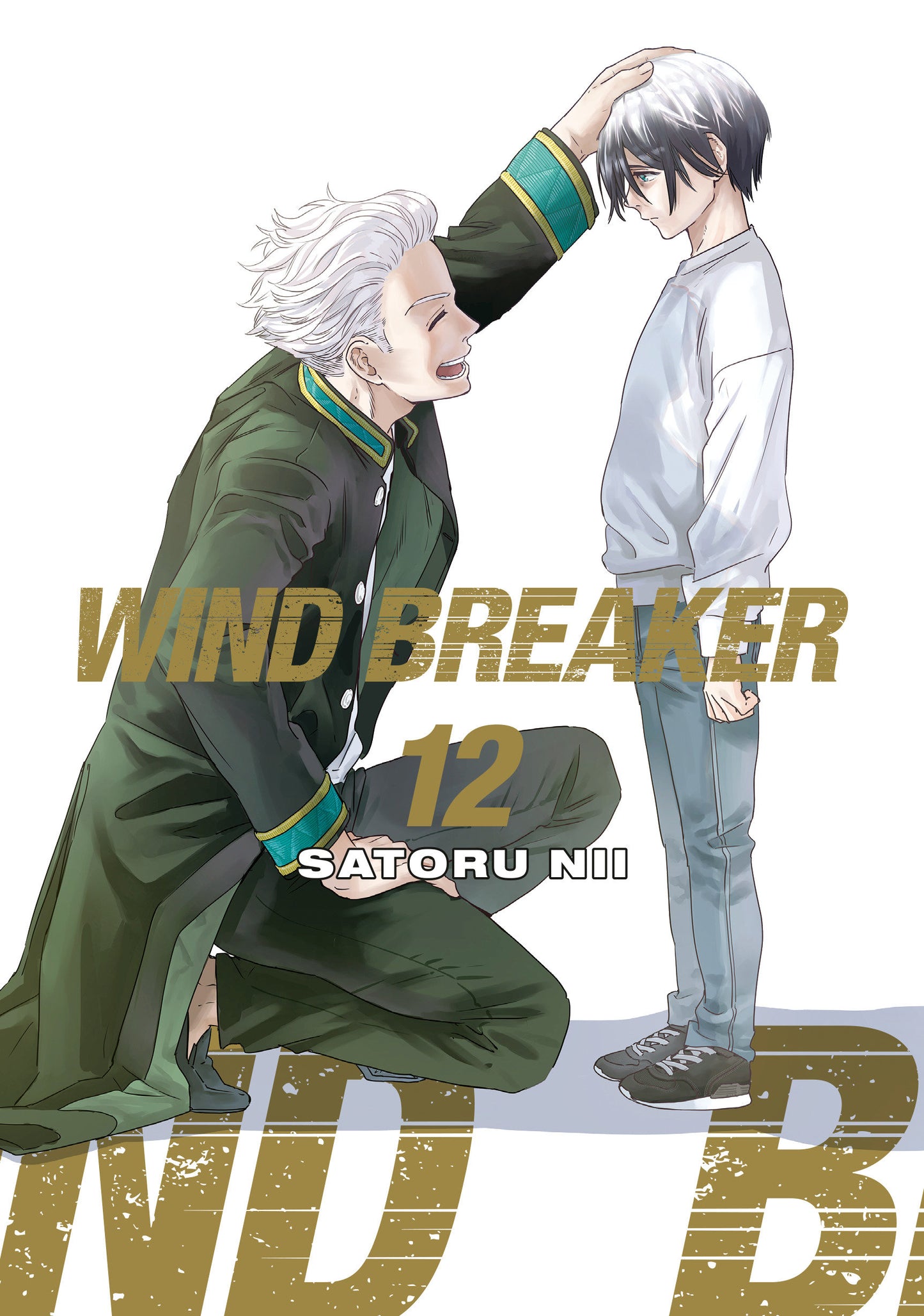 Wind Breaker 12