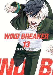 Wind Breaker Volume 13