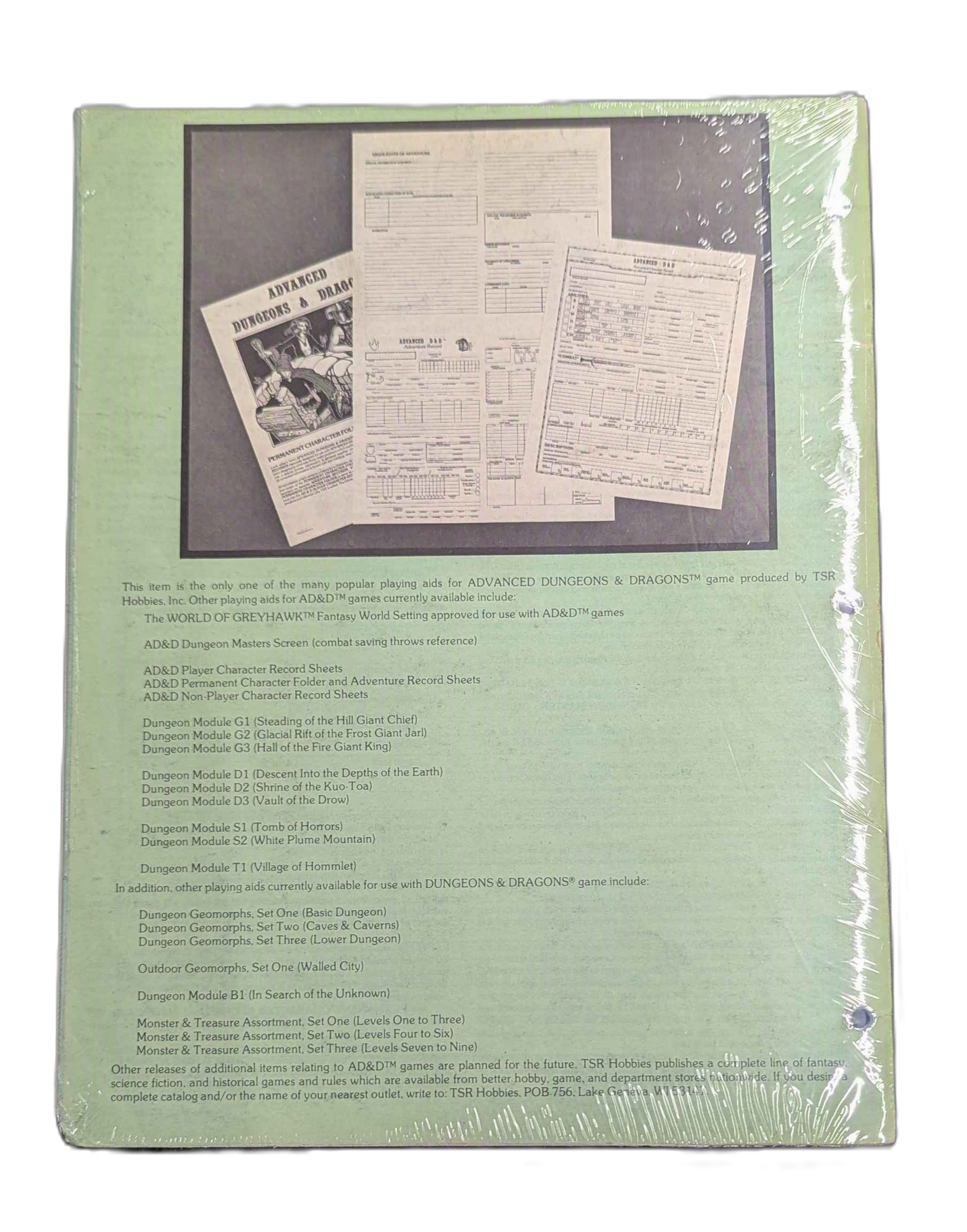 TSR Advanced Dungeons & Dragons Permanent Character Folder