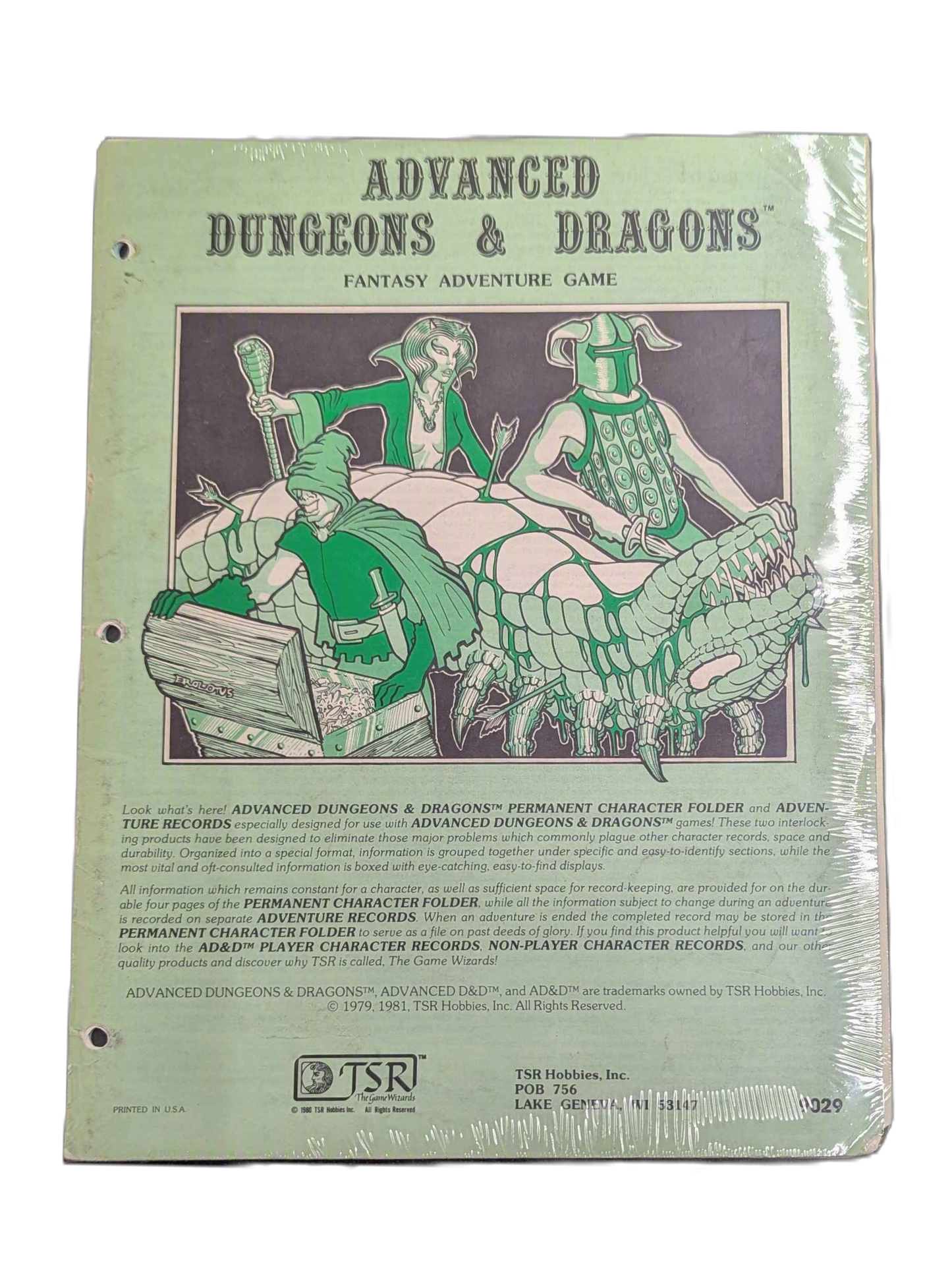 TSR Advanced Dungeons & Dragons Permanent Character Folder