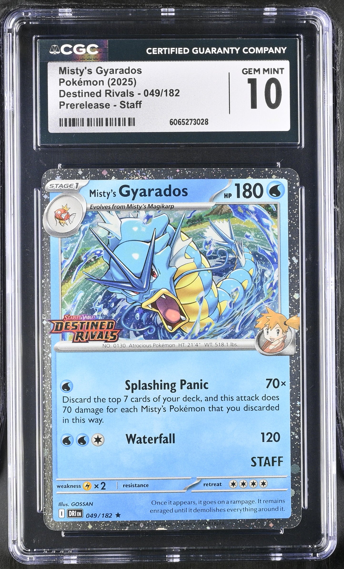 Pokemon [S&V: Destined Rivals] Prerelease Staff Set of 4 CGC 10 Gem Mint