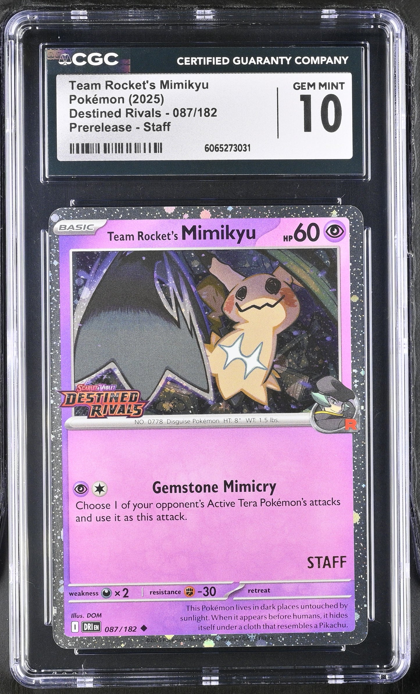 Pokemon [S&V: Destined Rivals] Prerelease Staff Set of 4 CGC 10 Gem Mint