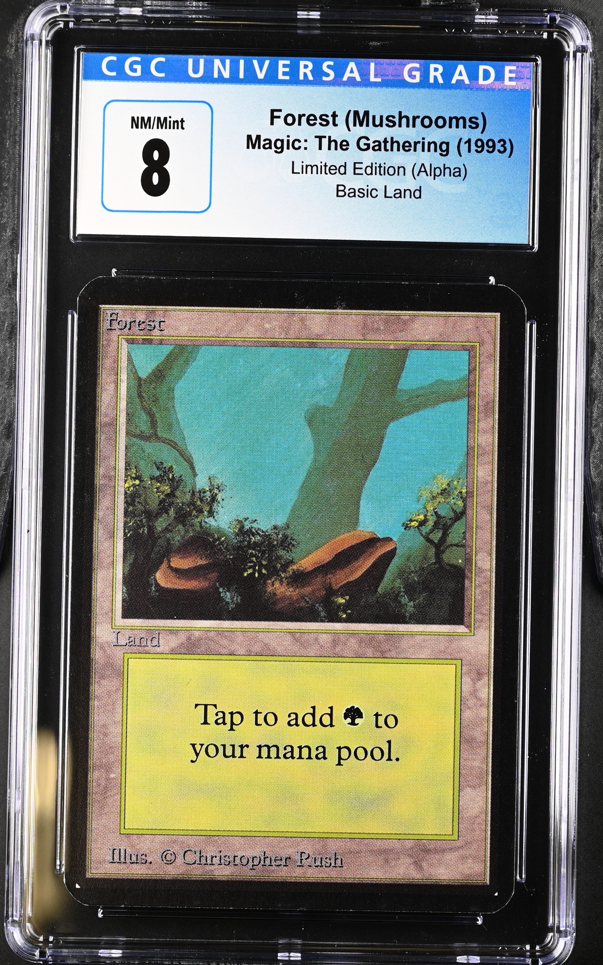 Magic: The Gathering MTG Forest (294) [Alpha Edition] Graded CGC 8 NM/Mint