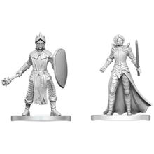 Nolzur's Marvelous Miniatures -  Unpainted: Black Gauntlet & Zhentilar Paladin of Bane