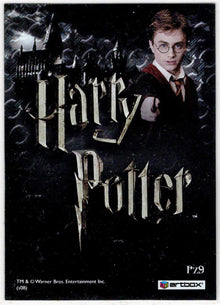 Harry Potter And The Prisoner of Azkaban Update 3D Lenticular Puzzle Card PZ9
