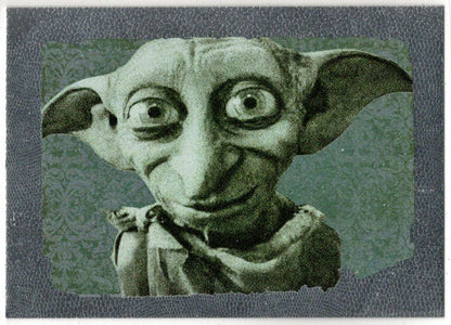 Harry Potter And The Deathly Hallows Part 2 Foil Chase Card R1