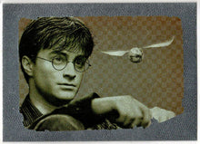 Harry Potter And The Deathly Hallows Part 2 Foil Chase Card R8