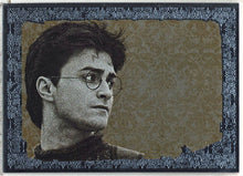 Harry Potter And The Deathly Hallows Part 1 Foil Puzzle Chase Card R4