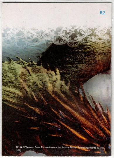 Harry Potter And The Goblet Of Fire Update Prismatic Foil Chase Card R2