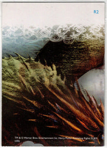 Harry Potter And The Goblet Of Fire Update Prismatic Foil Chase Card R2