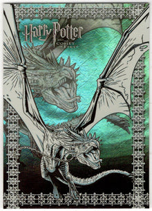 Harry Potter And The Goblet Of Fire Prismatic Foil Chase Card R7