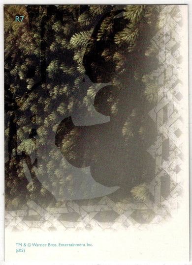 Harry Potter And The Goblet Of Fire Prismatic Foil Chase Card R7