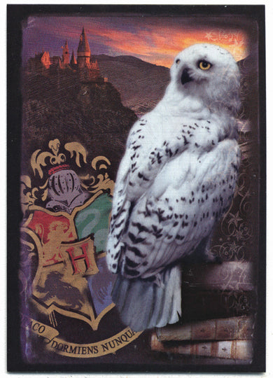 Harry Potter And The Half-Blood Prince Prismatic Foil Puzzle Card R6
