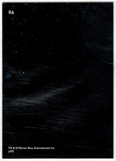 Harry Potter And The Half-Blood Prince Prismatic Foil Puzzle Card R6