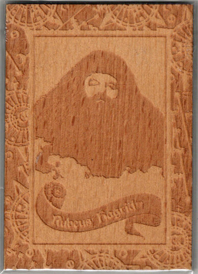 Harry Potter And The Half-Blood Prince Update Wooden Box Topper Card BT3