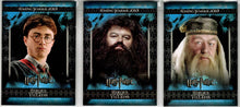 Harry Potter Heroes And Villains Three Card Promo Set P1-P3