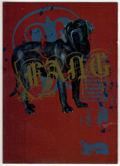 Harry Potter Memorable Moments Prismatic Foil Chase Card R4 Fang